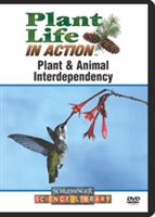 Plant & animal interdependency