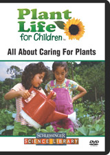 All about caring for plants