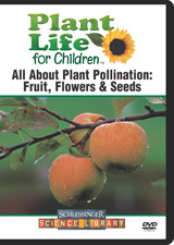 All about plant pollination : fruit, flowers & seeds