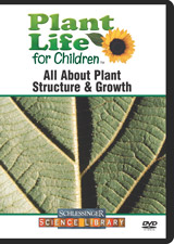 All about plant structure & growth