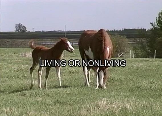 Living or non-living?