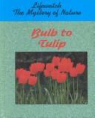 Bulb to tulip