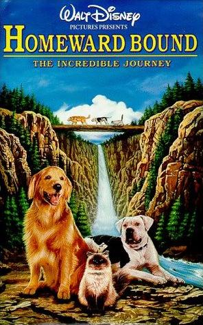 Homeward bound : the incredible journey