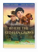 Where the red fern grows