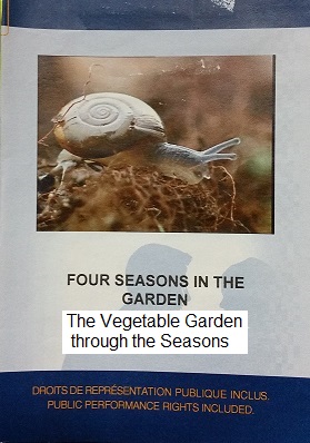 The vegetable garden through the seasons