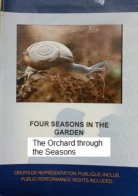 The orchard through the seasons