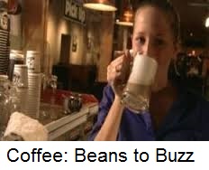 Coffee: beans to buzz
