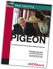 Pigeon