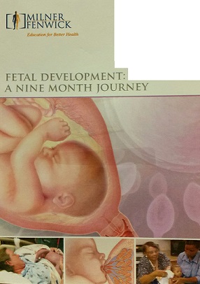 Fetal development: a nine month journey