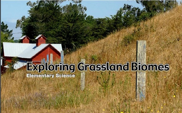 Exploring grassland biomes