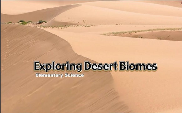 Exploring desert biomes