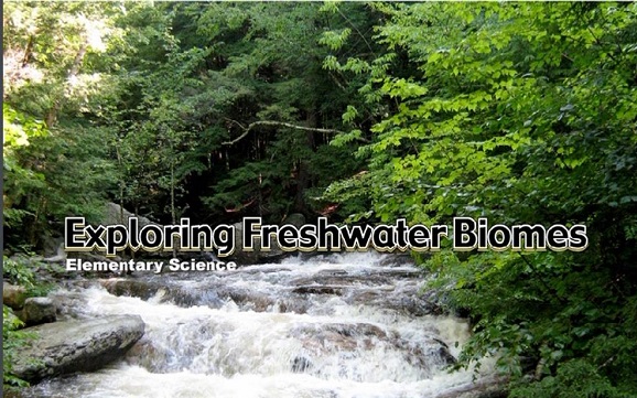 Exploring freshwater biomes