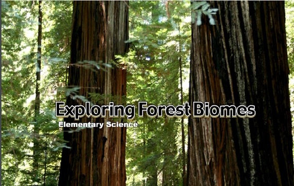 Exploring forest biomes