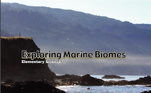 Exploring marine biomes
