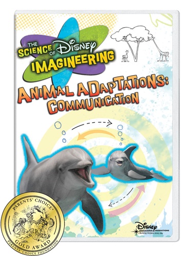 Animal adaptations : communication