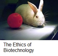 The ethics of biotechnology