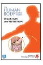 Digestion and nutrition