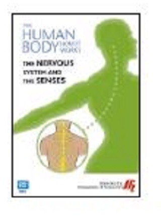 The nervous system and the senses
