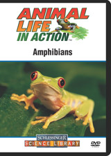 Amphibians