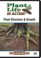 Plant structure & growth
