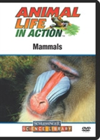 Mammals