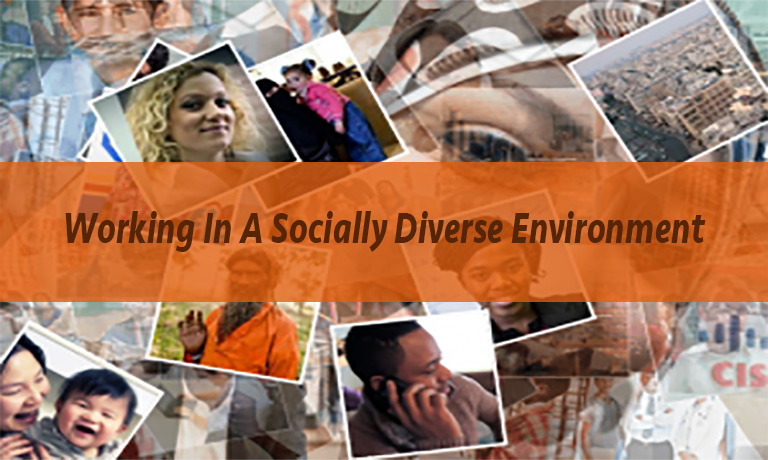 Working in socially diverse environments