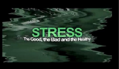 Stress : the good, the bad and the healthy