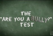The "Are YOU a bully?" test