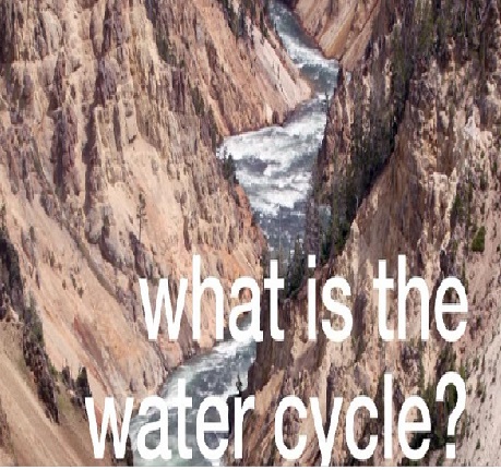 What is the water cycle?