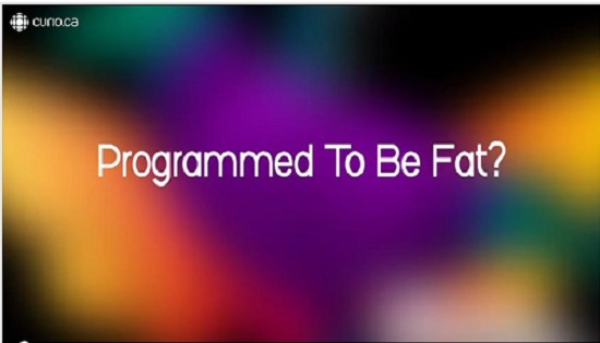 Programmed to be fat?