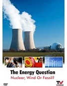 The energy question: nuclear, wind or fossil?