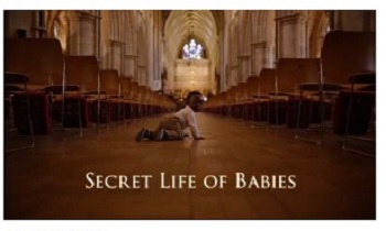 The secret life of babies