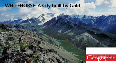 Whitehorse: a city built by gold