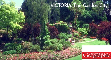 Victoria : the garden city