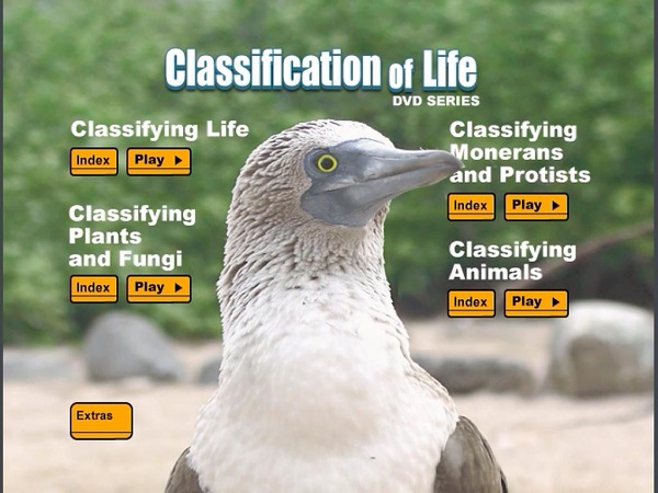 Classifying life