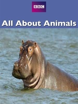 Hippos