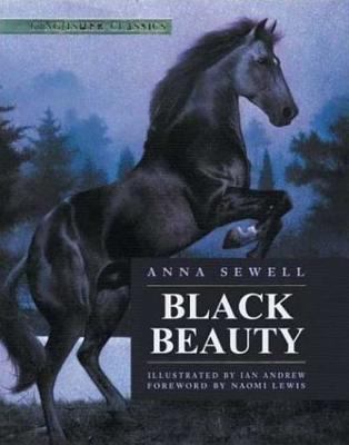 Black Beauty : his grooms and companions : the autobiography of a horse, translated from the original equine