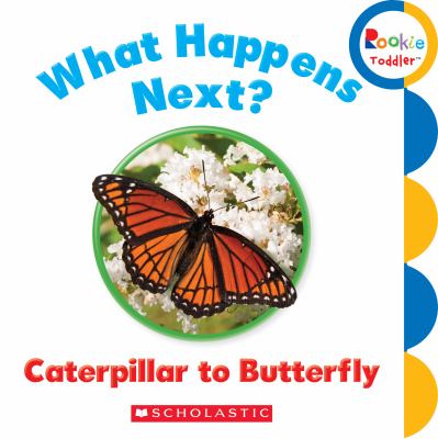 What happens next? : caterpillar to butterfly