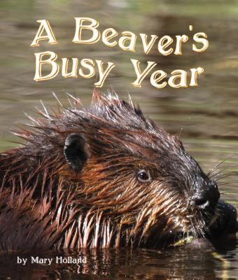 The beavers' busy year