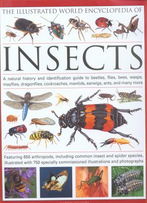 The illustrated world encyclopedia of insects : a natural history and identification guide to beetles, flies, bees, wasps, mayflies, dragonflies, cockroaches, mantids, earwigs, ants and many more