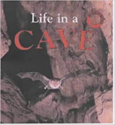 Life in a cave