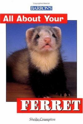 All about your ferret