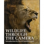 Wildlife through the camera