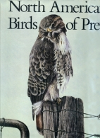 North American birds of prey