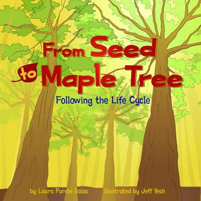 From seed to maple tree : following the life cycle