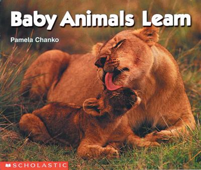 Baby animals learn