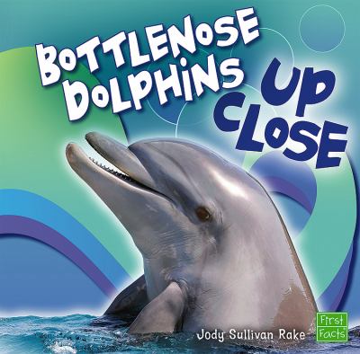 Bottlenose dolphins up close