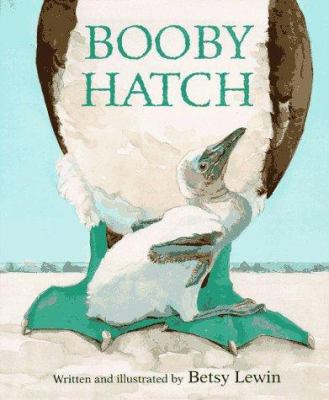 Booby hatch