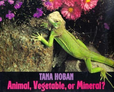 Animal, vegetable, or mineral?