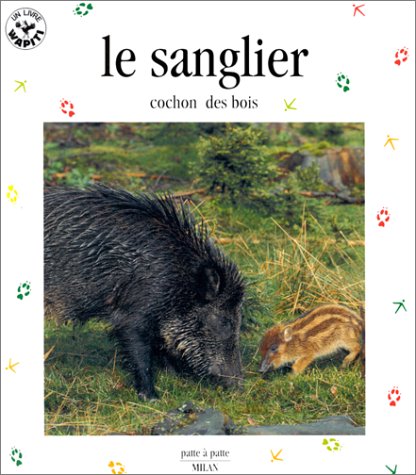 Le sanglier, cochon des bois